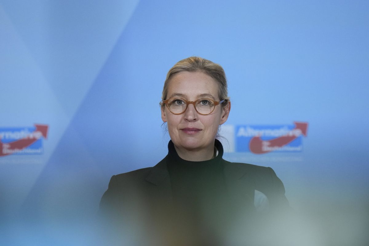 Alice Weidel, The Moderate? Why Even Elon Musk Shouldn't Trust Germany's ...