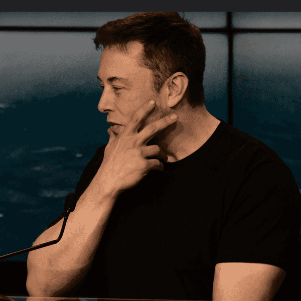 Judge Locks Musk And His Gang Out Of Treasury Data Systems -- For Now