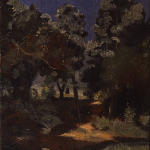 Matisse e la luce del Mediterraneo in mostra a Mestre