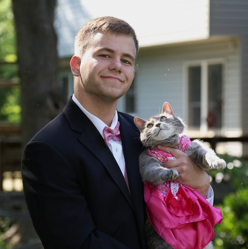 Cat Prom Dress