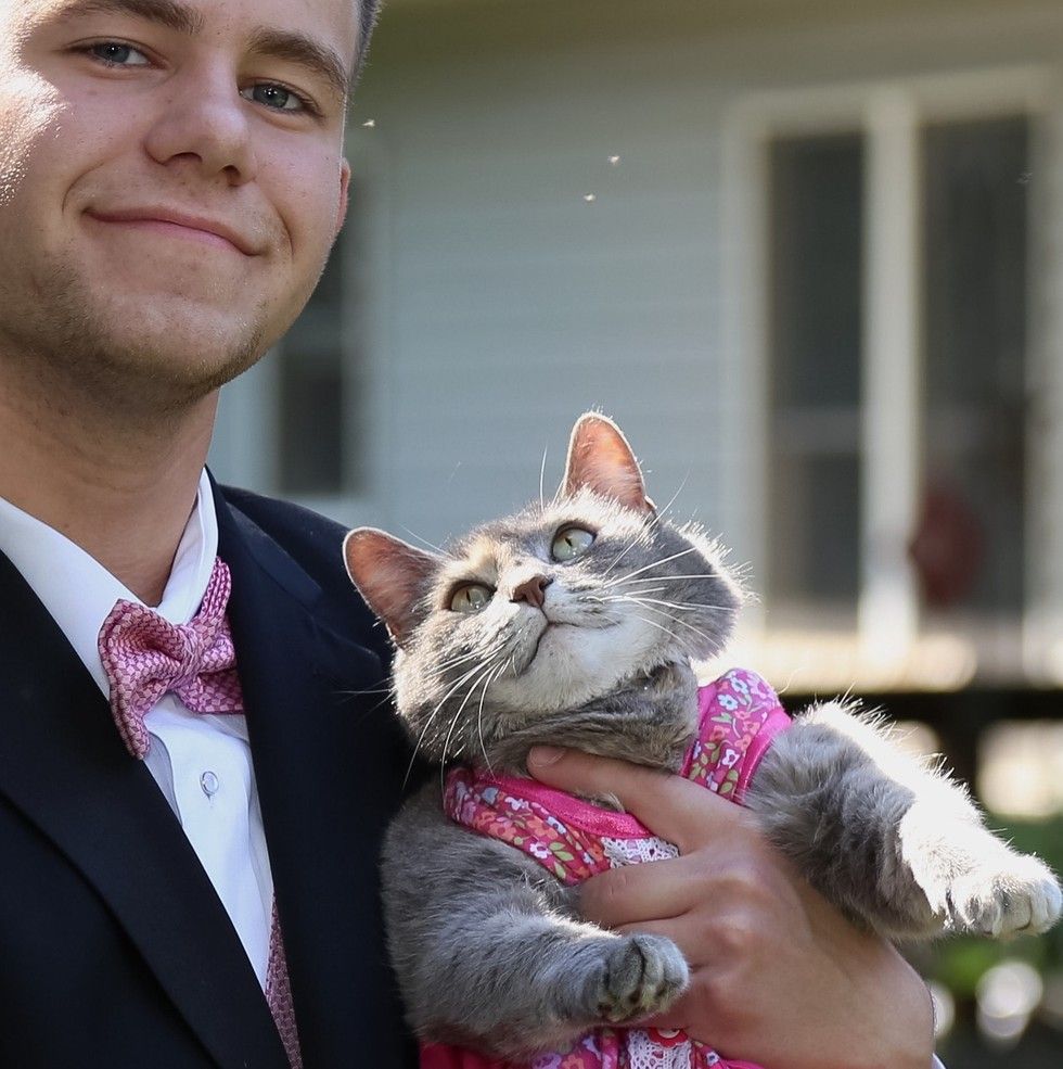 Cat Prom Dress