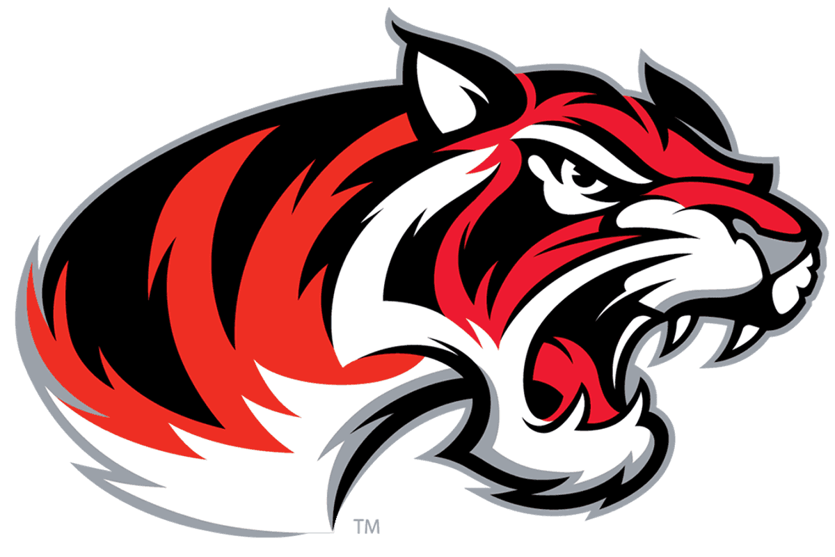 THE STATUS: VYPE DFW Final Girls Basketball Rankings as playoffs near; Braswell, Argyle climb
