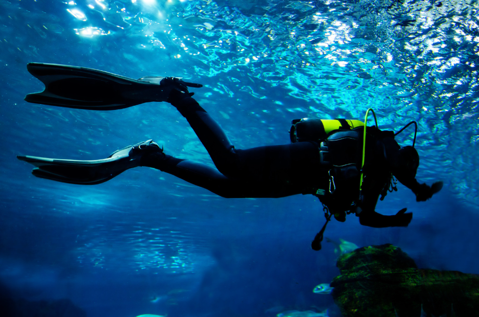 A scuba diver in the ocean
