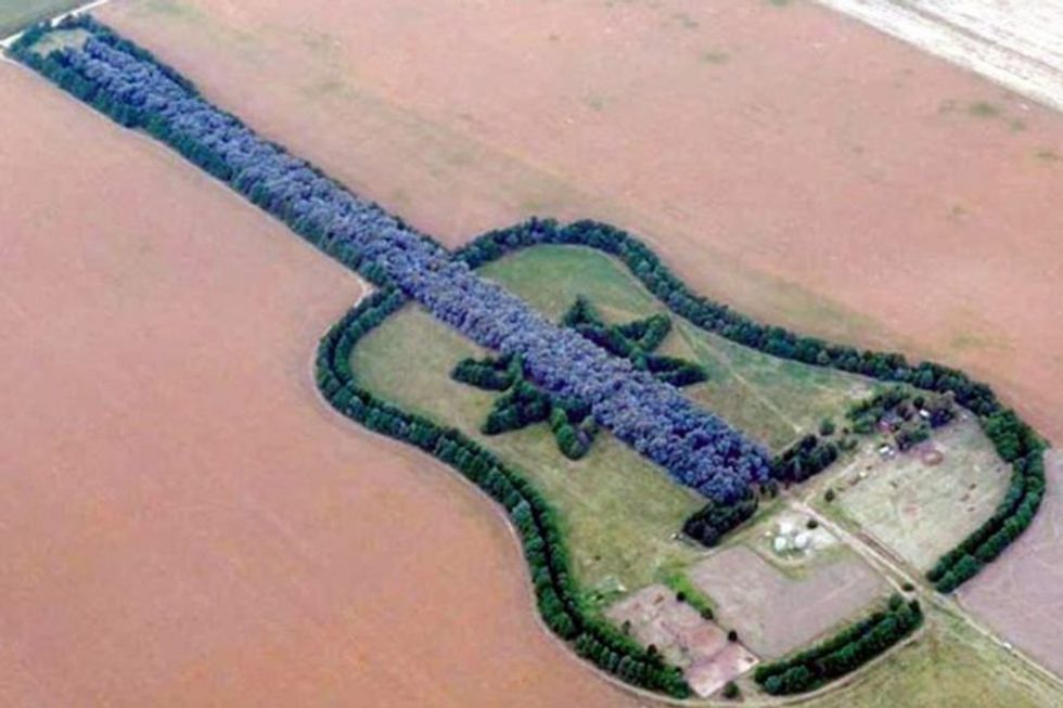 guitar forest