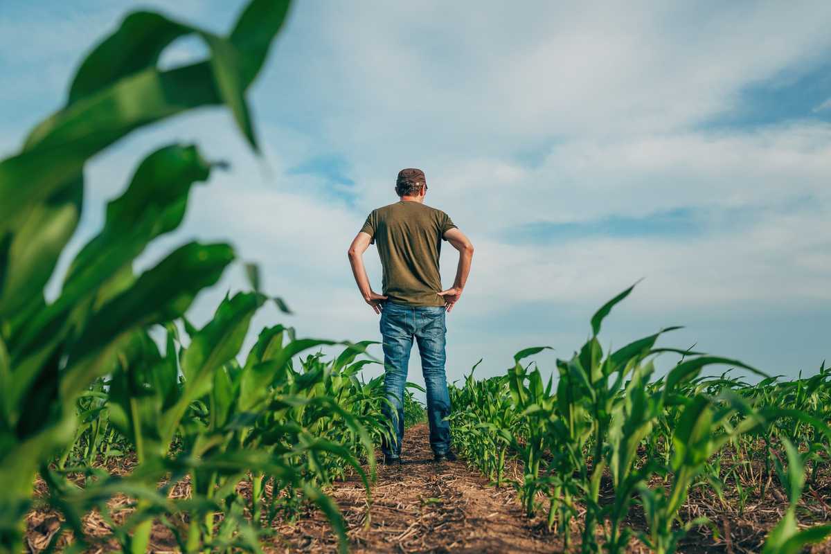 Verdi follie: via la terra ai contadini, alloggio riservato agli ambientalisti