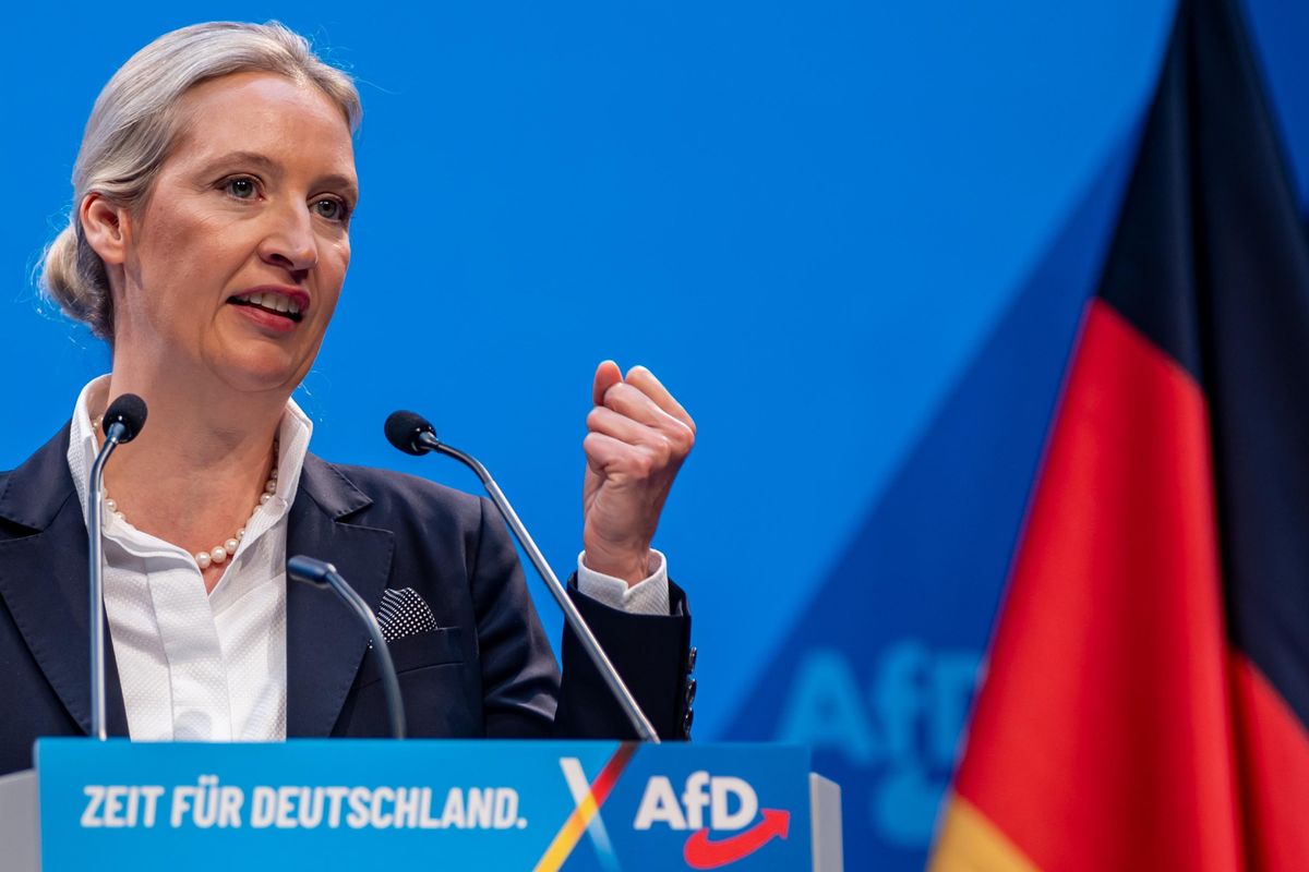 Il Bundestag affonda la legge sui migranti. Afd gode: «Si cambia solo se ci siamo noi»