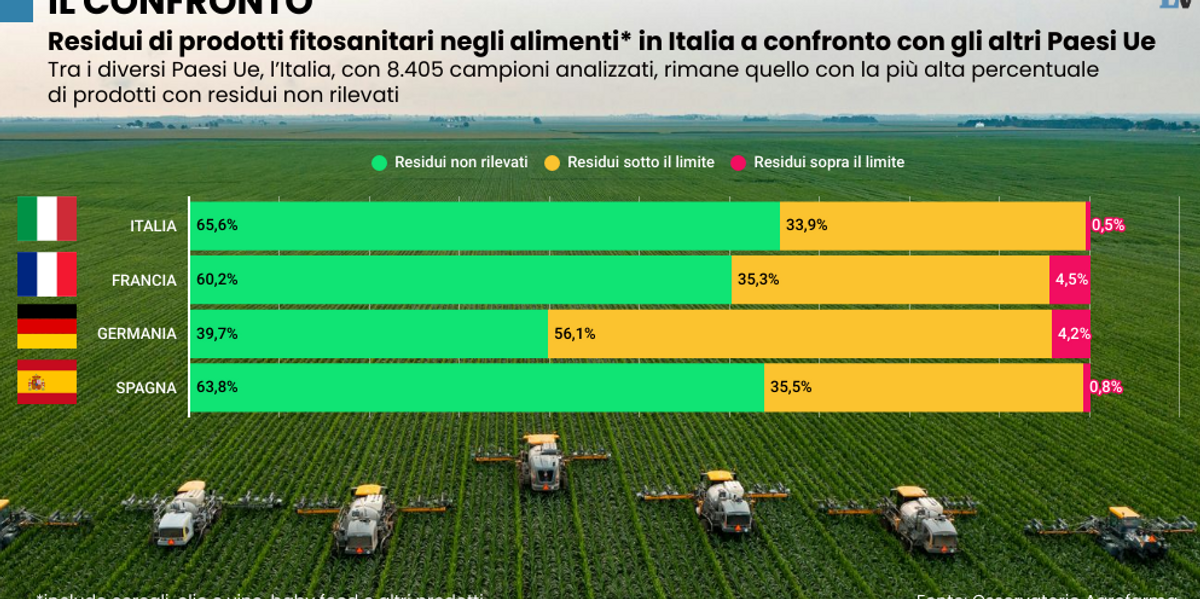 Pomodori, pere e kiwi. L’Ue ci vieta i pesticidi e spalanca le porte ai cibi chimici altrui