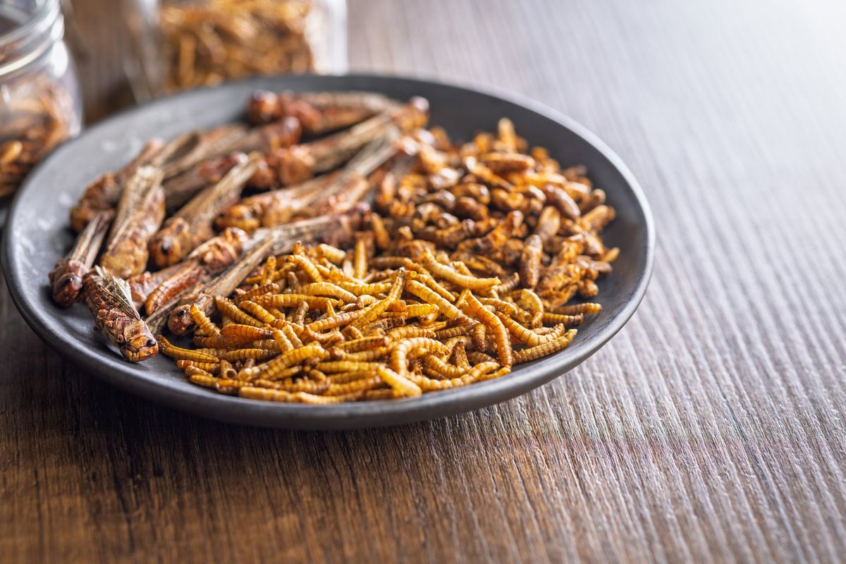 Il buongusto trionfa sugli euroburocrati. Crolla il consumo di grilli e larve in Italia