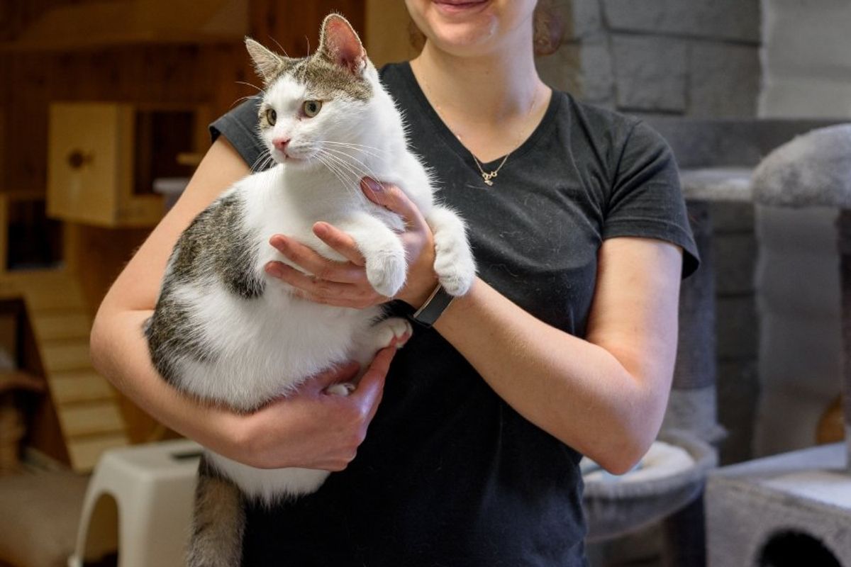 woman holding a cat