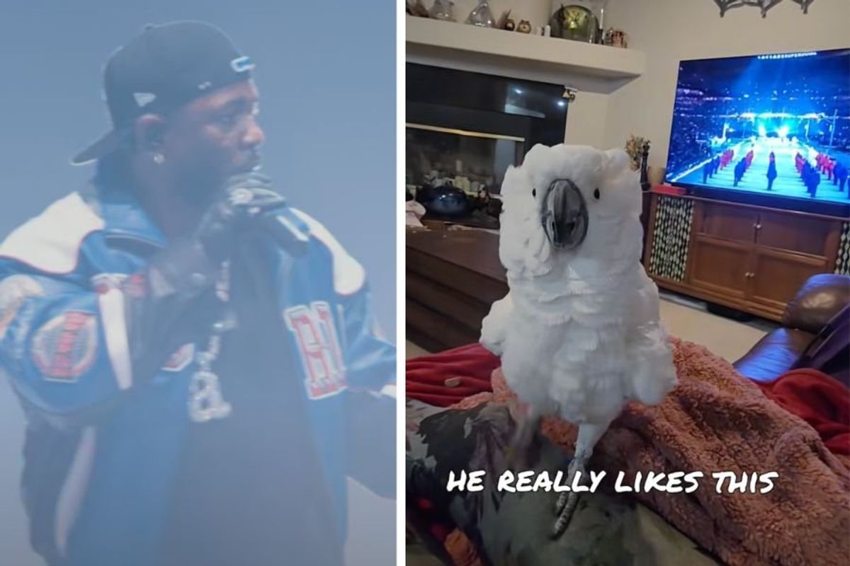 kendrick lamar, kendrick lamar halftime show, super bowl