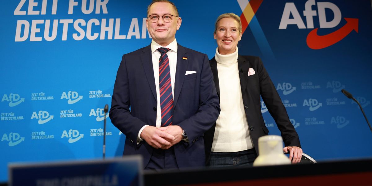 Afd ha libertà di parola, democratici in tilt