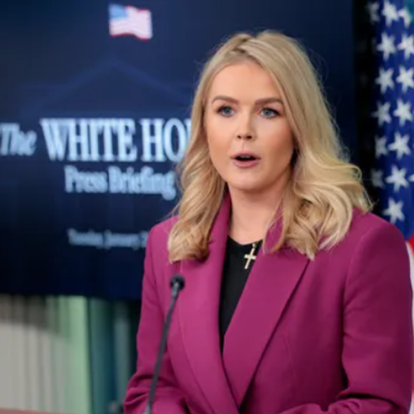 White House Says Musk Won't File Public Financial Disclosure