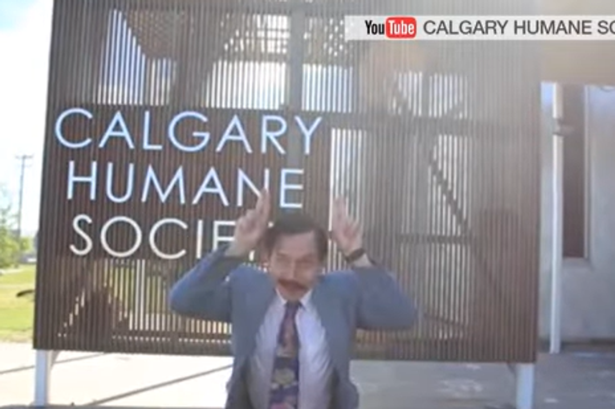 man in suit pantomimes cat ears in front of sign for Calgary Humane Society