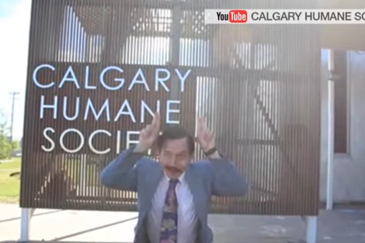 man in suit pantomimes cat ears in front of sign for Calgary Humane Society