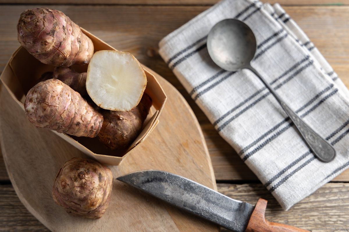 Simile alle patate, amico dell’intestino. Le proprietà «solari» del topinambur
