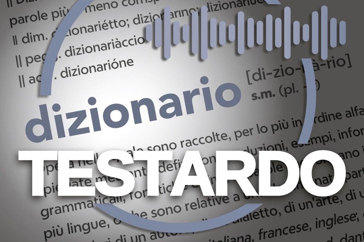 Dizionario Testardo | Chip: la materia prima del nuovo mondo
