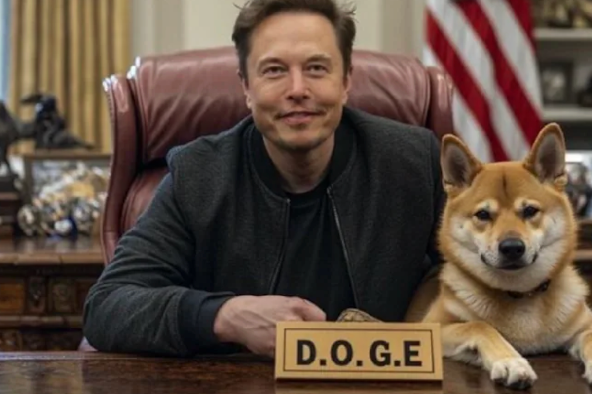 'We Can No Longer Serve': Data Scientists And Engineers Quit DOGE In Protest