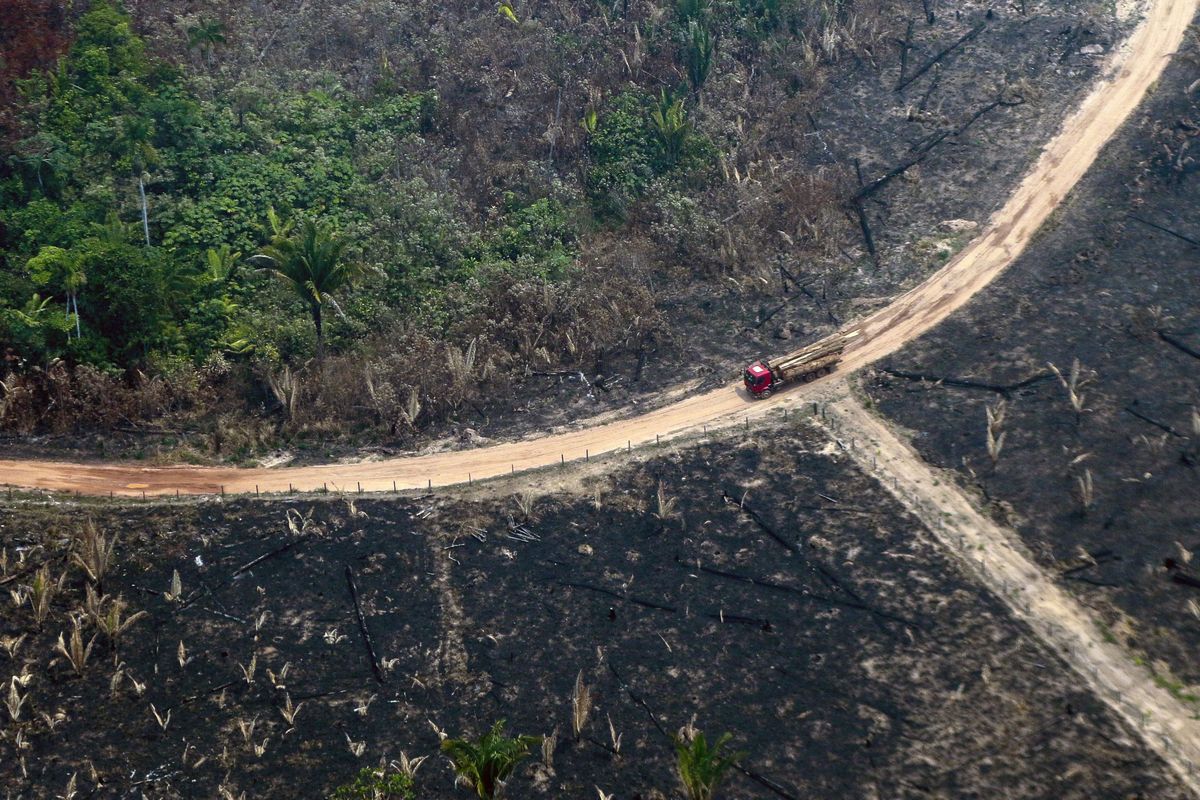 From the US to Brazil, Earth's Future Is on the Ballot