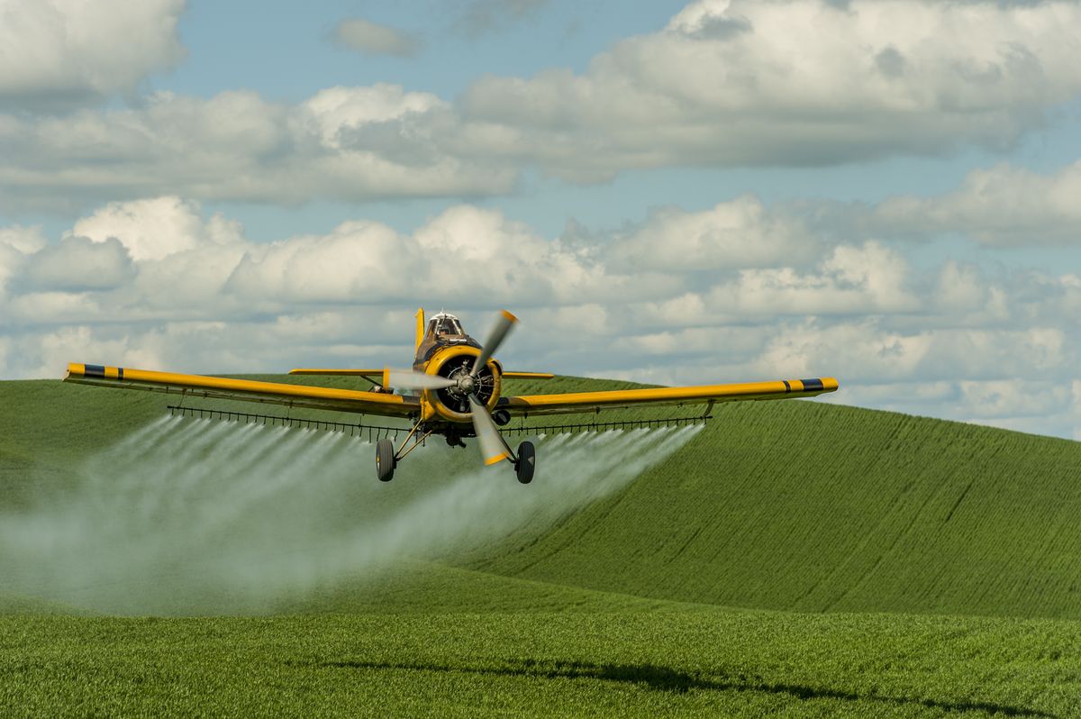 Vermont Applauded for Banning Parkinson's-Linked Neurotoxic Herbicide ...