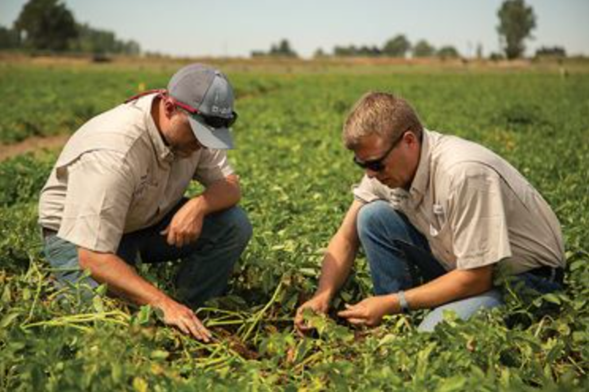 Over And Over, Trump Kicks America's Farmers In The Teeth