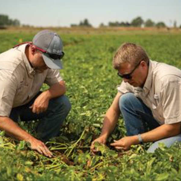 Over And Over, Trump Kicks America's Farmers In The Teeth