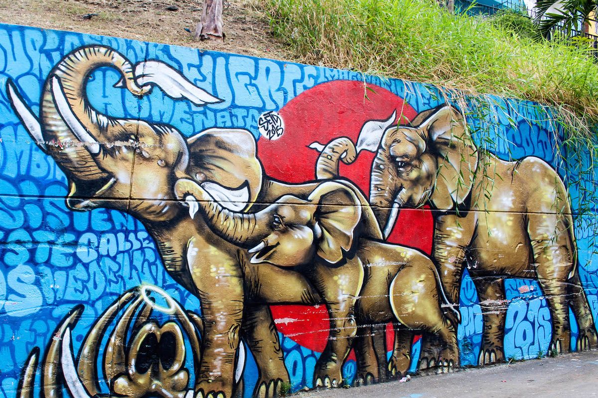 Why Medellín, Colombia Could Be the Next Major Art Destination
