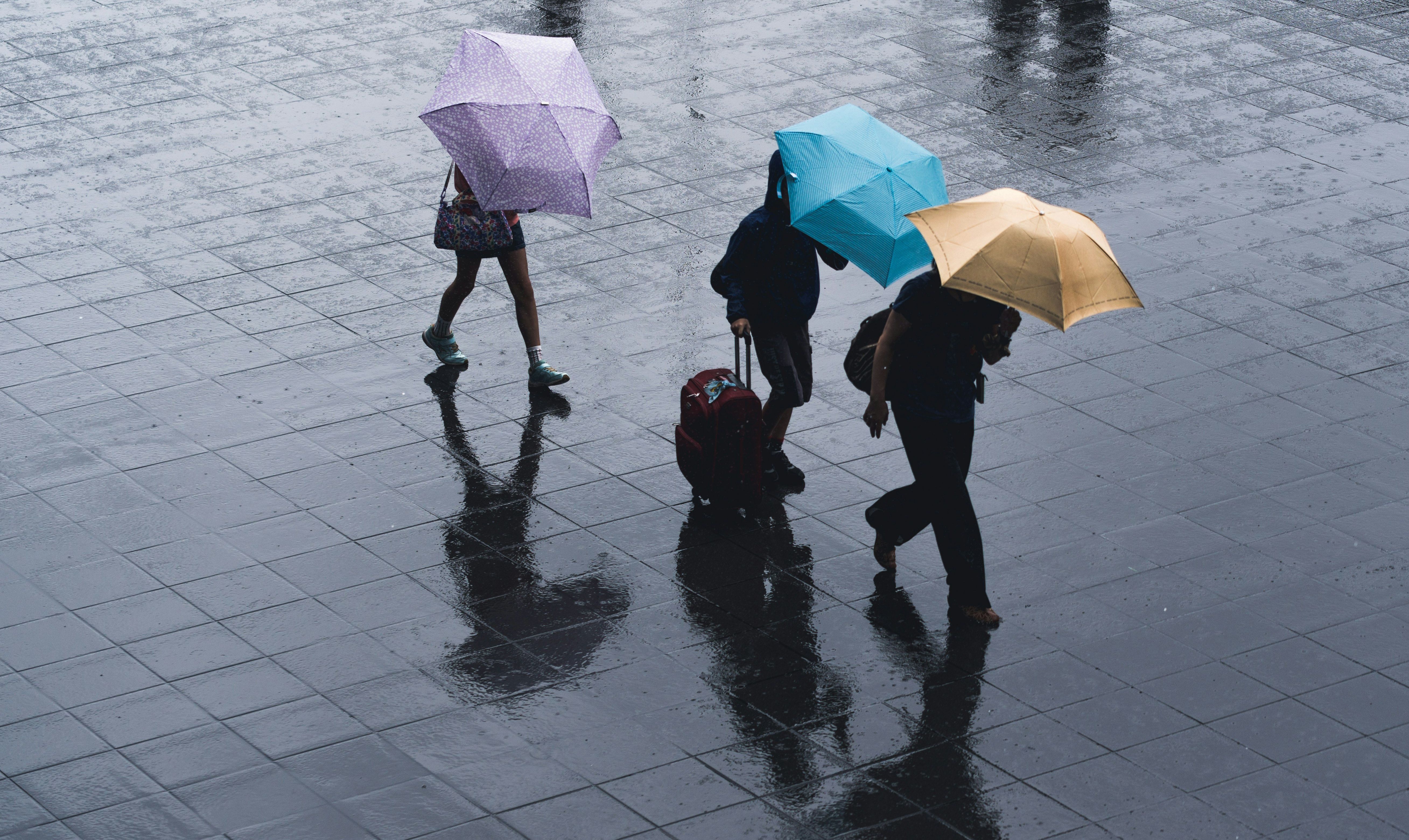 Three people with umbrellas walk in the rain