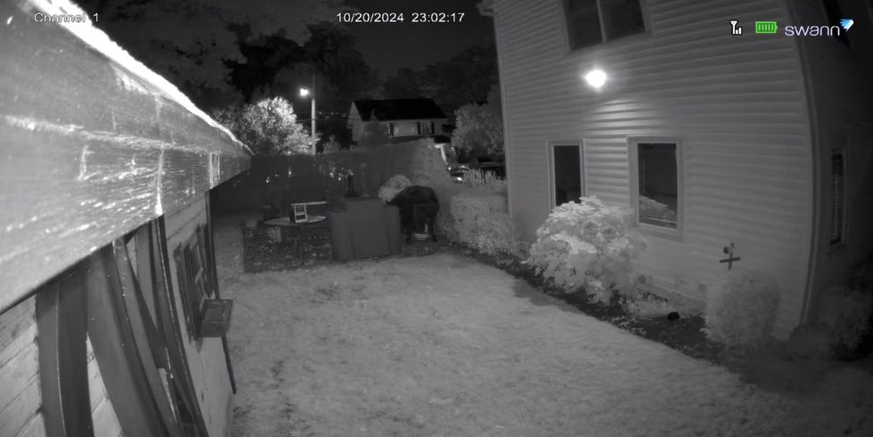 a Screenshot from live stream at night in Swann Security app