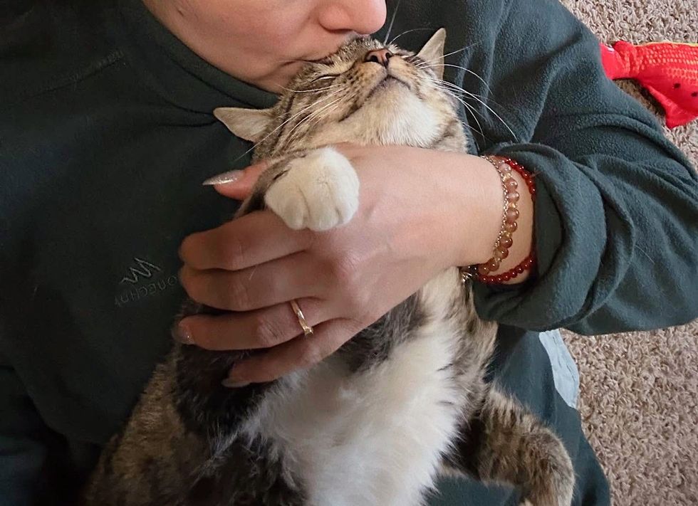 Cat Shows Up for Food, But She’s Unlike the Others, Once Indoors, She Lets Her True Self Shine Cat Shows Up for Food, But She’s Unlike the Others, Once Indoors, She Lets Her True Self Shine