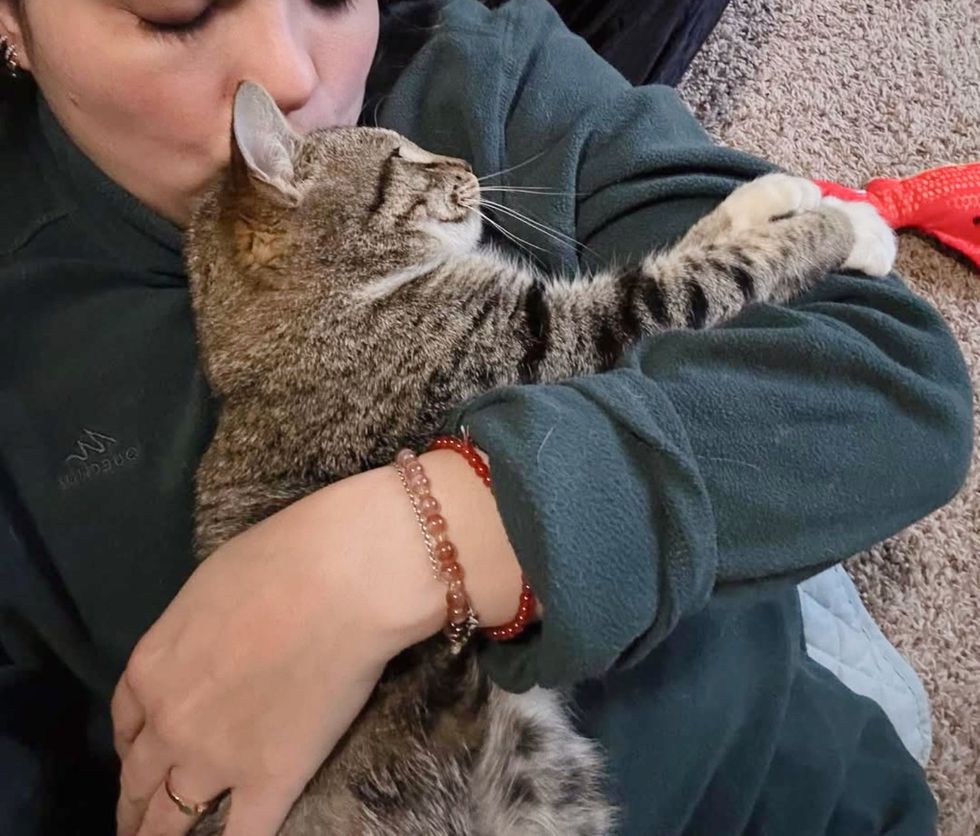 snuggly cat hugs