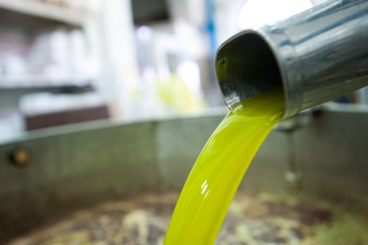 Nonostante i diktat dell’Ue l’olio italiano cresce ancora. E non teme i dazi degli Usa