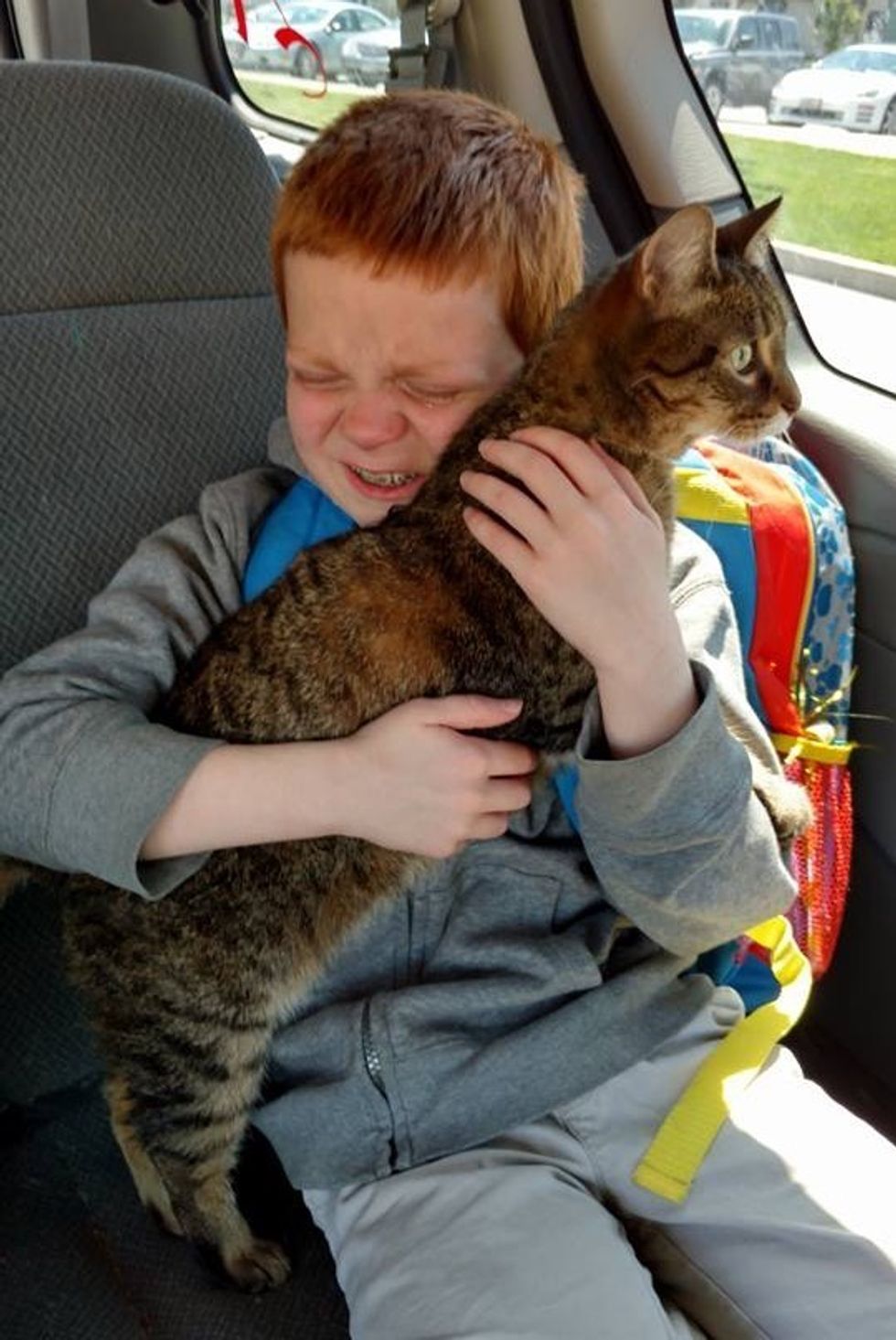 The Cat Who Fought Off A Dog To Save An Autistic Boy Just Won The