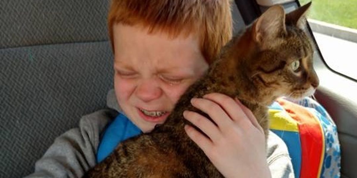 Children With Autism Can Become More Social With A Cat By Their Side