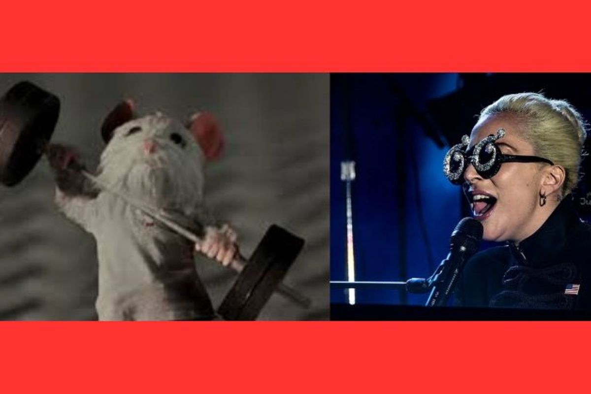 Lady Gaga, pip, SNL, Gaga