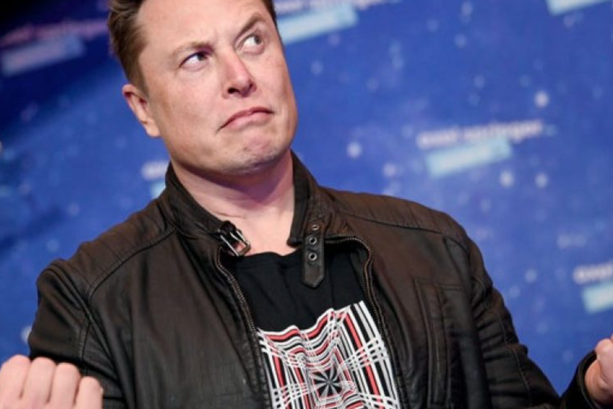 Waste, Fraud And Abuse In Musk's Department Of Gross Errors