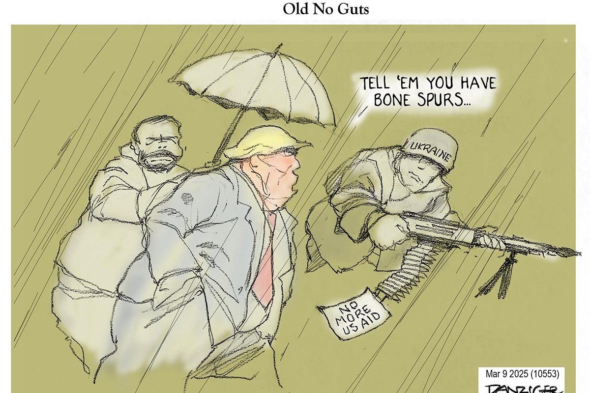 Danziger Draws