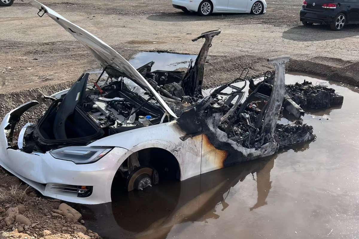 Musk's Infamy Is Sinking Tesla Sales - And Its Stock Price