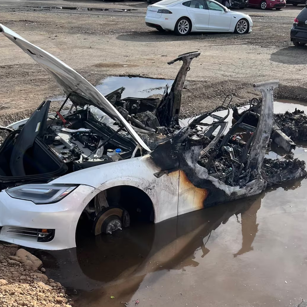 Musk's Infamy Is Sinking Tesla Sales - And Its Stock Price