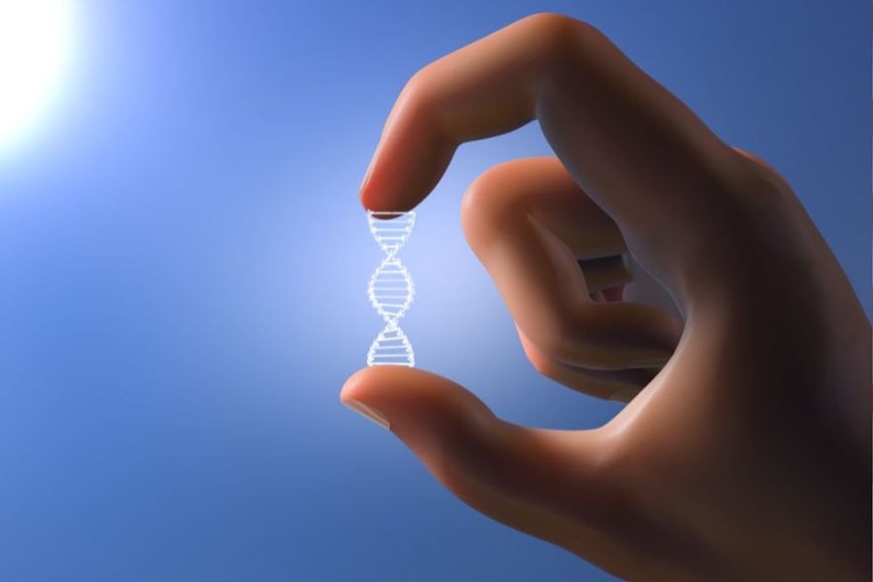 a hand holding a strand of DNA