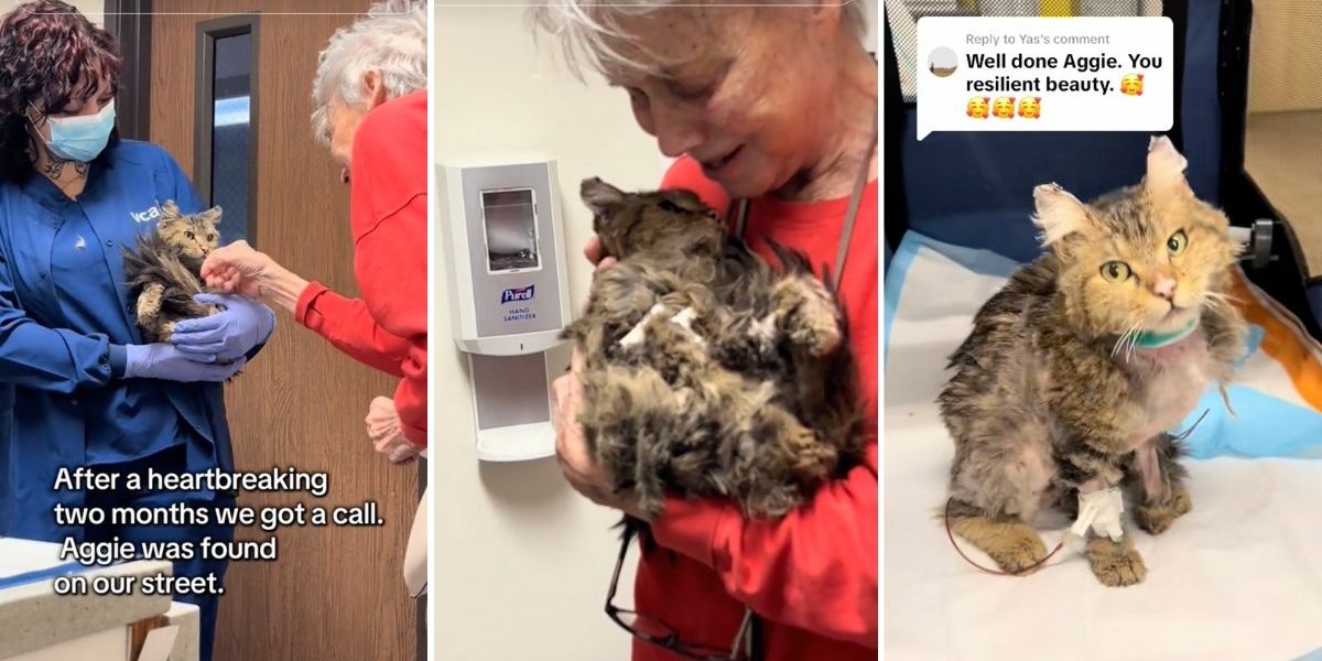 A woman reunited with her beloved cat she thought had died in catastrophic fire