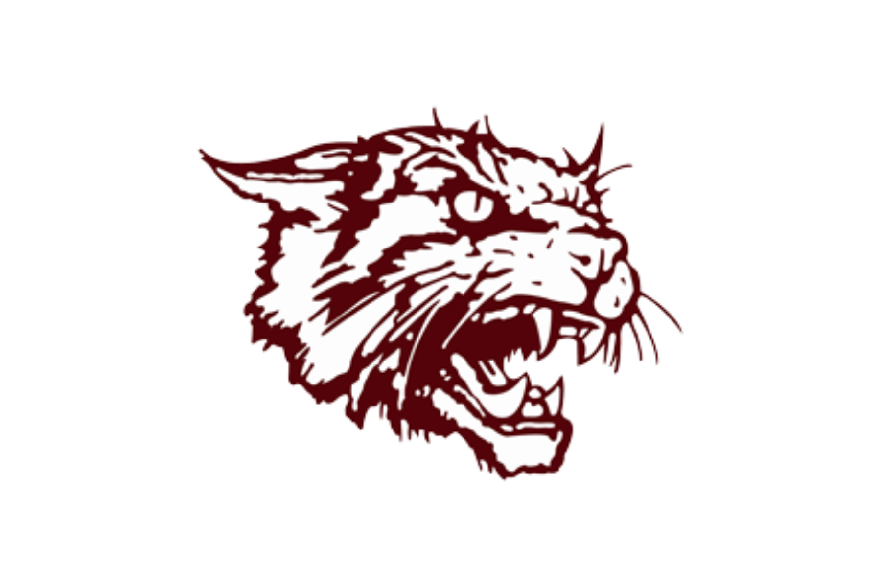 THE WILDCATS: Clear Creek Bringing Back Talented roster