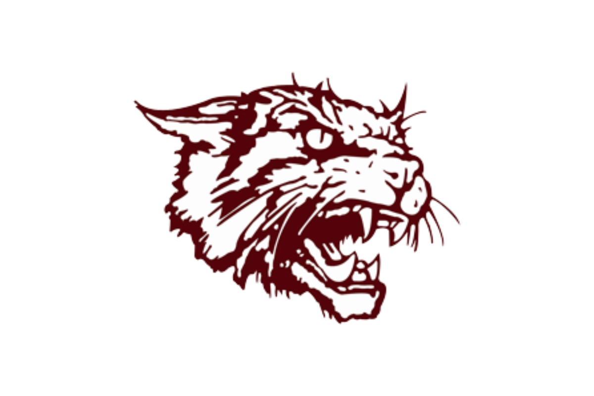 THE WILDCATS: Clear Creek Bringing Back Talented roster