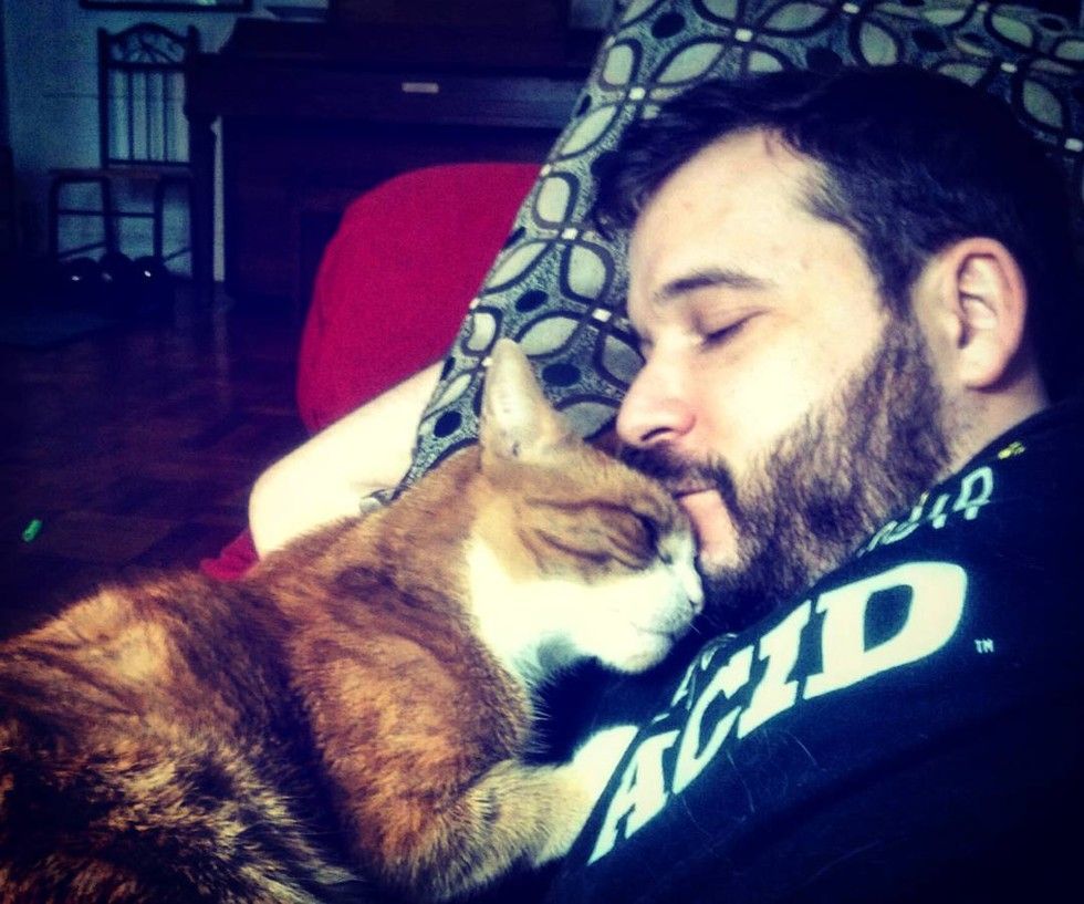 Man Took Cat Out of the Shelter and the Cat Hasn't Stopped Cuddling Him ...