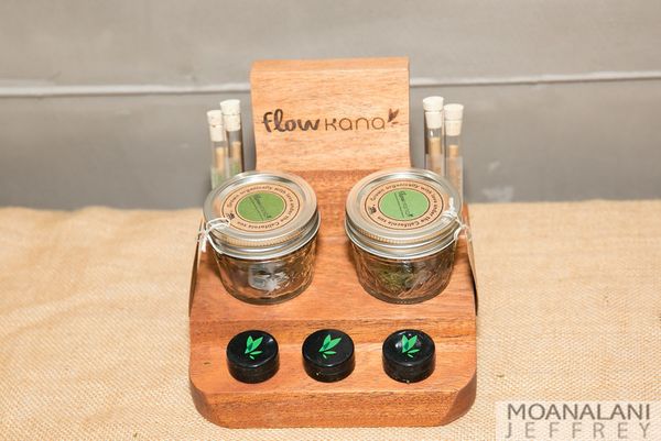 Cannabis Guide Launch Party at Harvest