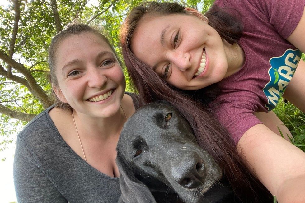 dogs, dog rescue, puppies, animal rescue, animals, pets