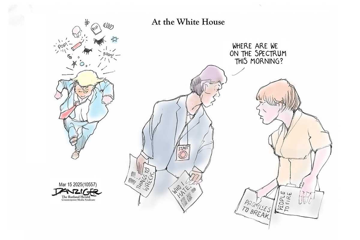 Danziger Draws