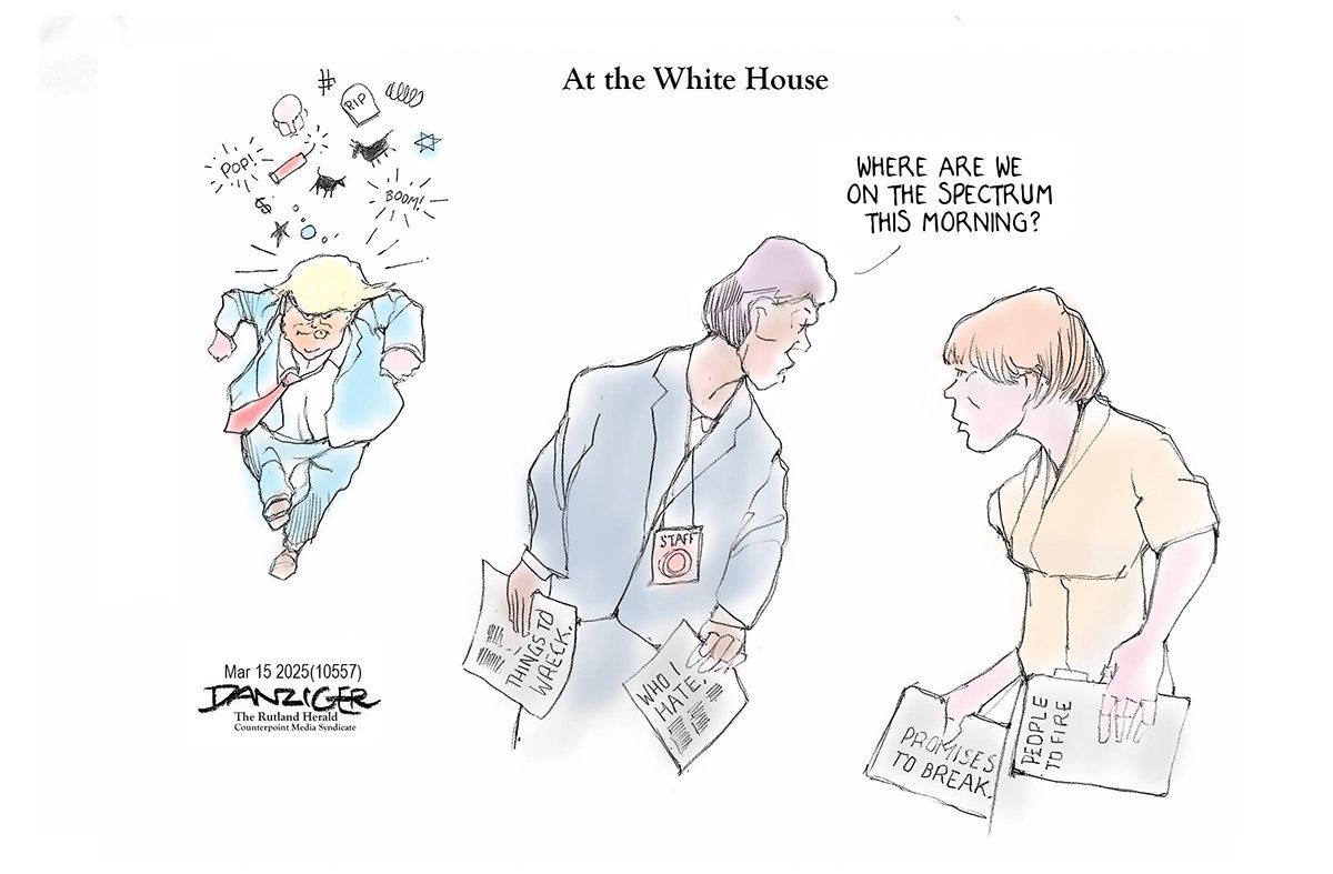 Danziger Draws