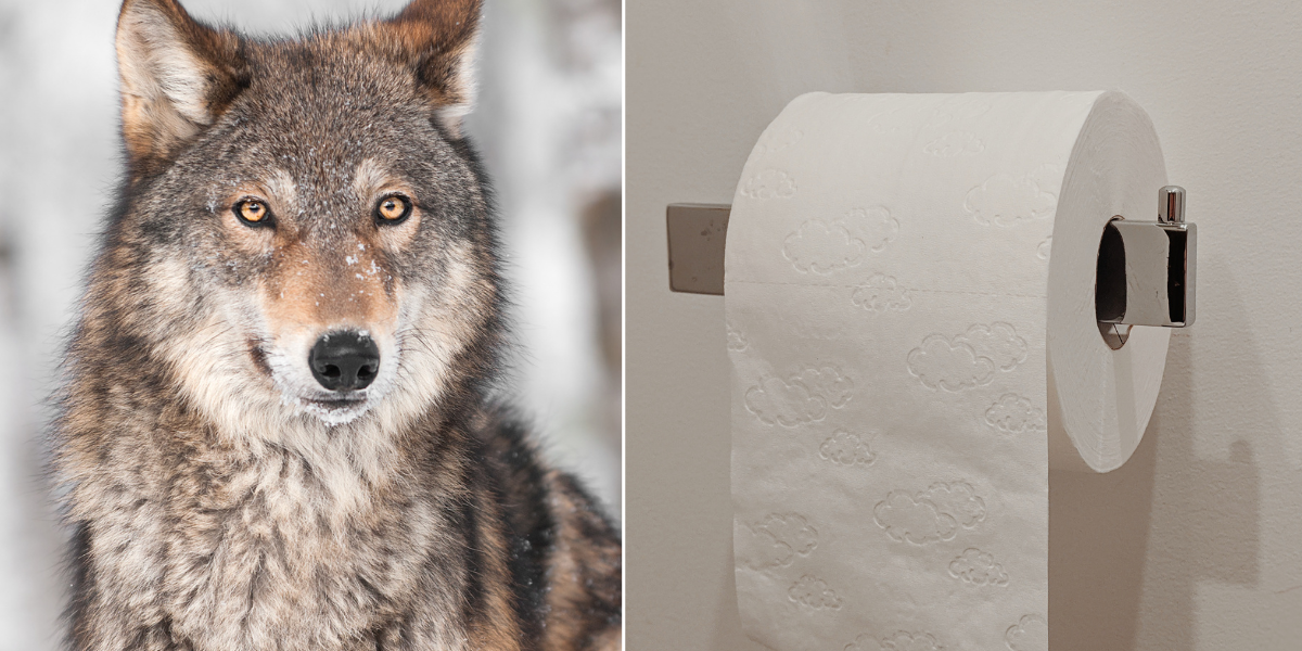 Guys share the 9 worst 'alpha male' tips they've ever heard and it's so cringe
