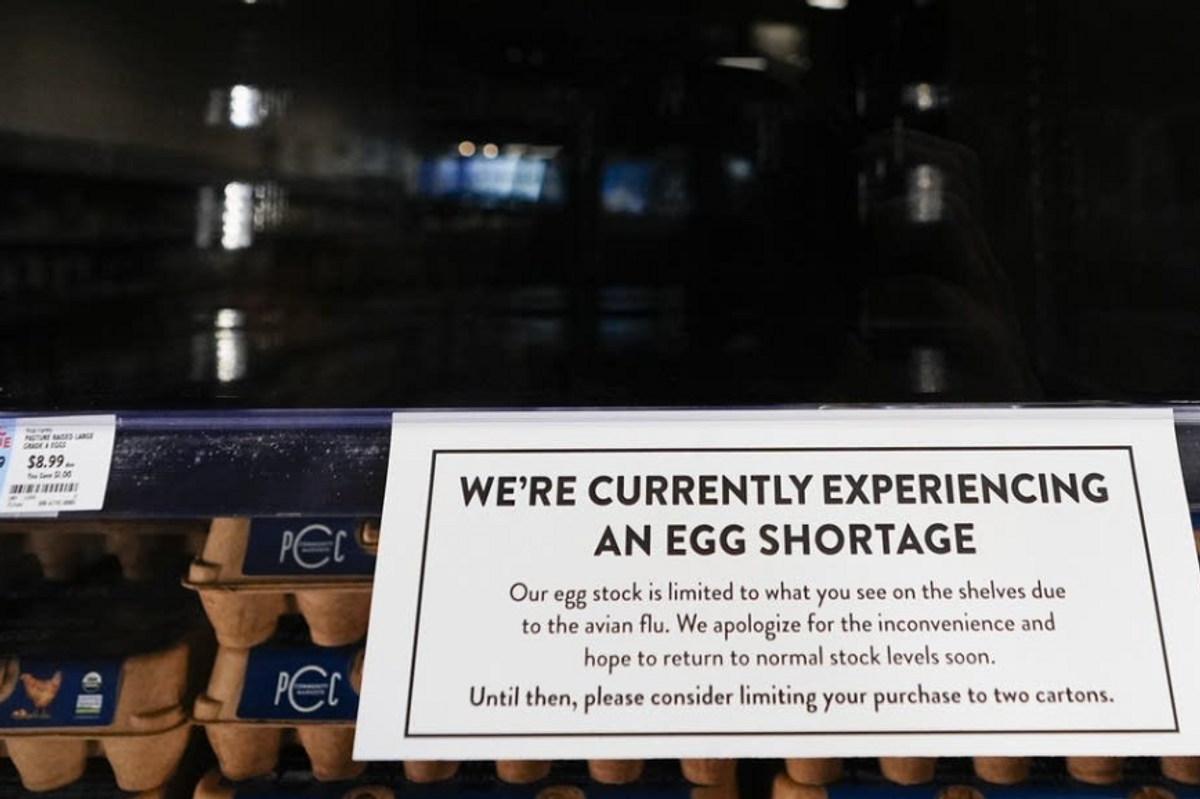 After Threats And Taunts, Trump Is Begging Denmark For...Eggs