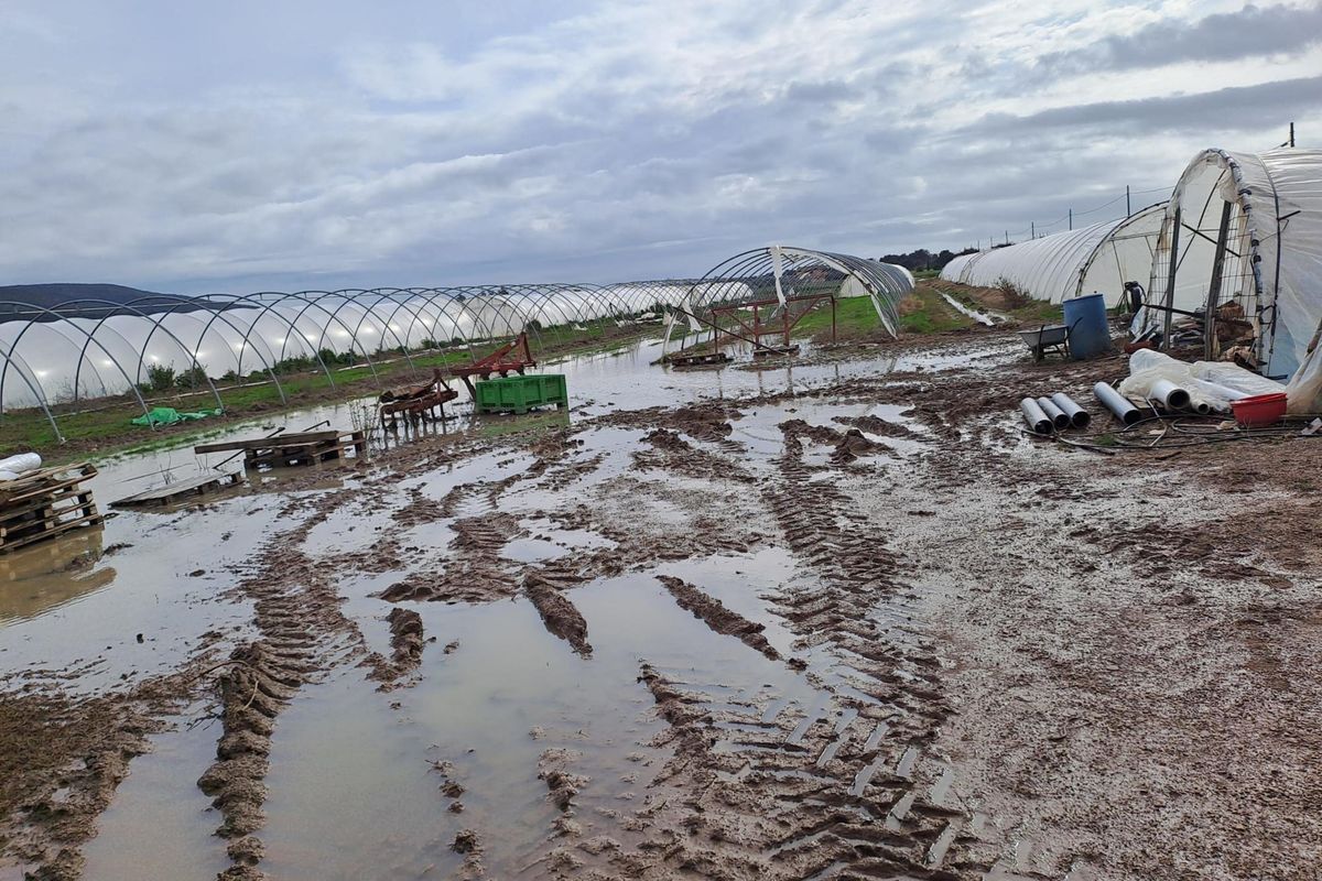 Non si evitano le alluvioni con le follie green